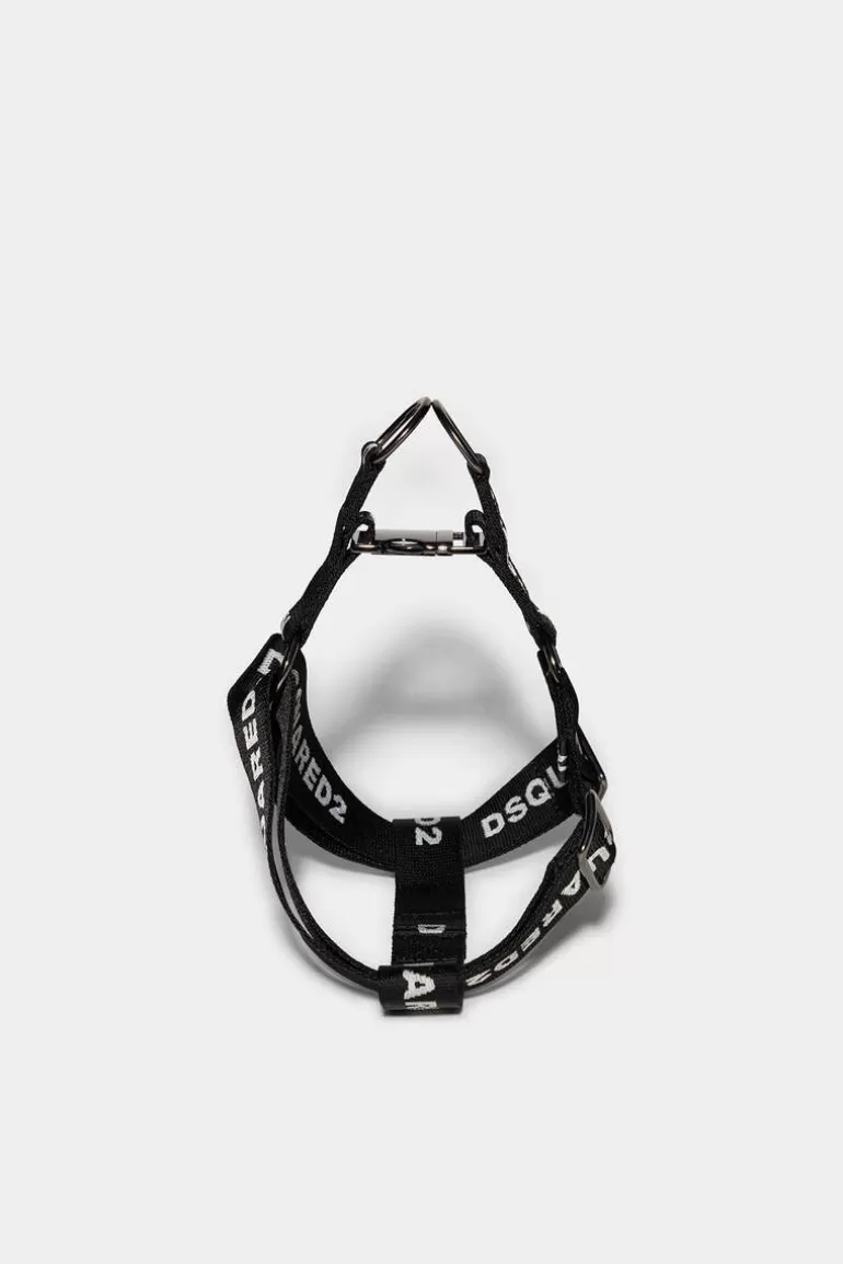 Femme Dsquared2 Pet Collection*Poldo X D2 Montreal Harness